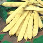 Đậu Pháp vàng "Titania" - giống sớm - 90 hạt - Phaseolus vulgaris L.