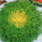 Julesalat Riccia Cuor D'oro -   Cichorium endyvia Riccia Cuor D'oro  - frø