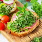 Microgreens - Brokkoli - 1500 frø - Brassica oleracea L. var. italica Plenck