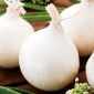 양파 "Agostana"- 흰색, 중간 초기 품종 - 1250 종자 - Allium cepa L. - 씨앗