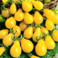 Tomate - Yellow Pearshaped - Délices sucrés en forme de poire - Graines fraîches