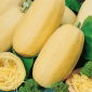 Dovleac spaghetti - Makaronowa Warszawska - Dovleac gourmet, alternativă ideală la paste - Semințe proaspete