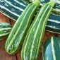 Zucchini "Striato dItalia" - 10 seeds