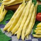 Haricot - Galopka - 100 graines - Phaseolus vulgaris L.