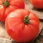 Pomodoro - Hector F1 - Lycopersicon esculentum Mill  - semi