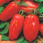BIO - Greenhouse tomato "Marzano 2" - certified organic seeds - 225 seeds