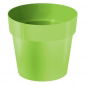 Runder einfacher Topf - 16 cm - Lindgrün - 