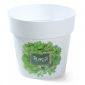Bình in chìm tròn - 13 cm - mẫu thảo dược H3 - 
