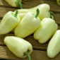 Hot piper "PCR" - Capsicum L. - semințe