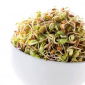 Semi germogliati - mix "Fitness" - 