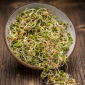 Kiemen zaden - Minerale mix - 