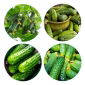 Tapas de frascos giratorios (6 orejetas) - mezcla de pepinillos de pepino - Ã¸ 82 mm - 