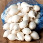 ceapa alba alba Alibaba - 0,25 kg - 