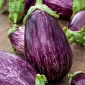 Баклажан - Tsakoniki - 220 семена - Solanum melongena